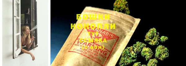 прущие грибы Бугульма