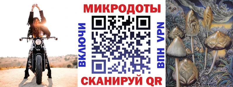 мега tor Нерчинск Псилоцибиновые грибы Magic Shrooms